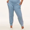Cora Cozy Jogger Plus Blue